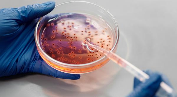 RNA-Seq Explained: From Raw Reads to Biological Insights