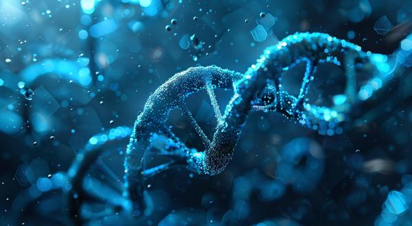 Whole Exome vs Whole Genome Sequencing: How to Choose for Your Research