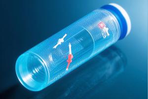 CRISPR Validation Through NGS: Analytical Approaches