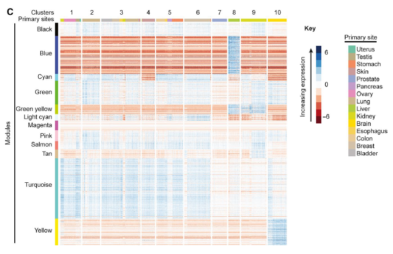 F I G U R E 2 Heat maps of module_0.png