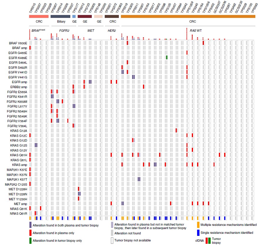 Fig. 1 Identification of acquired resistance mechanisms in liquid versus tumor biopsy.jpg