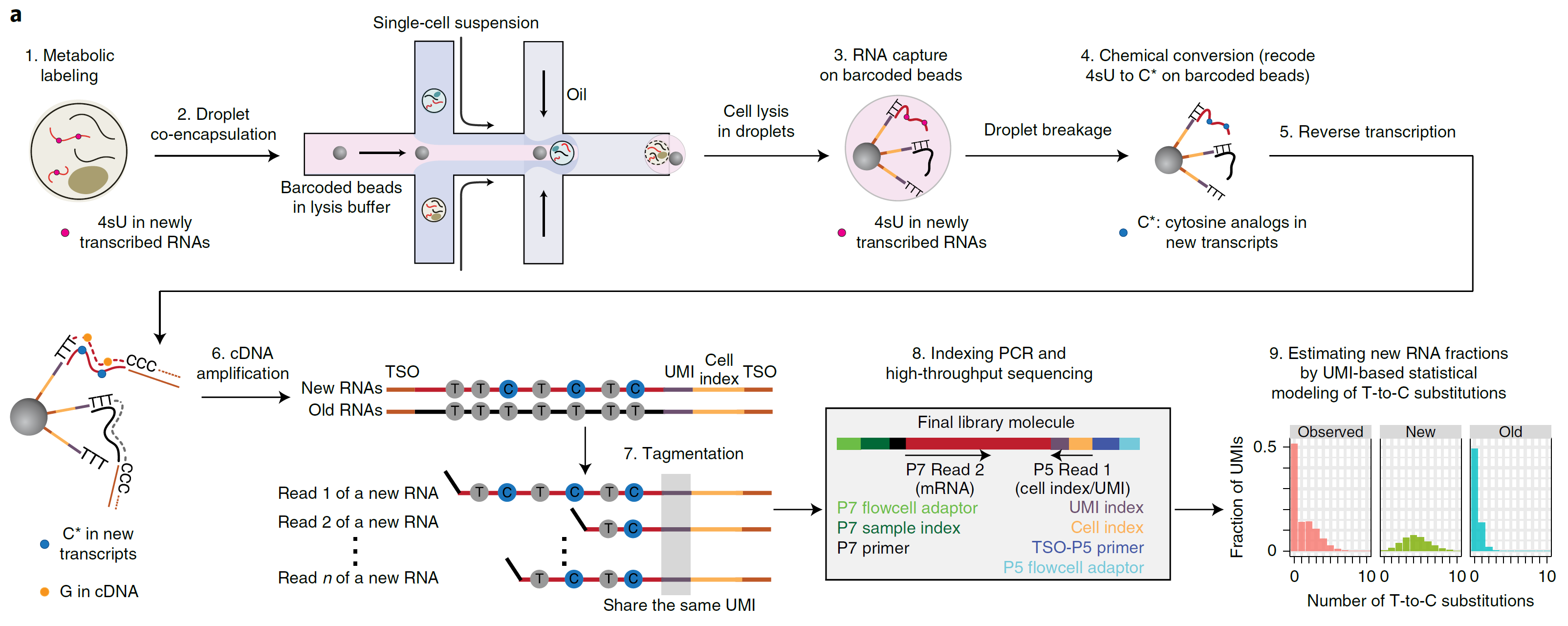 Fig. 1 Overview of scNT-SEQ. TSO, template switch oligo.png