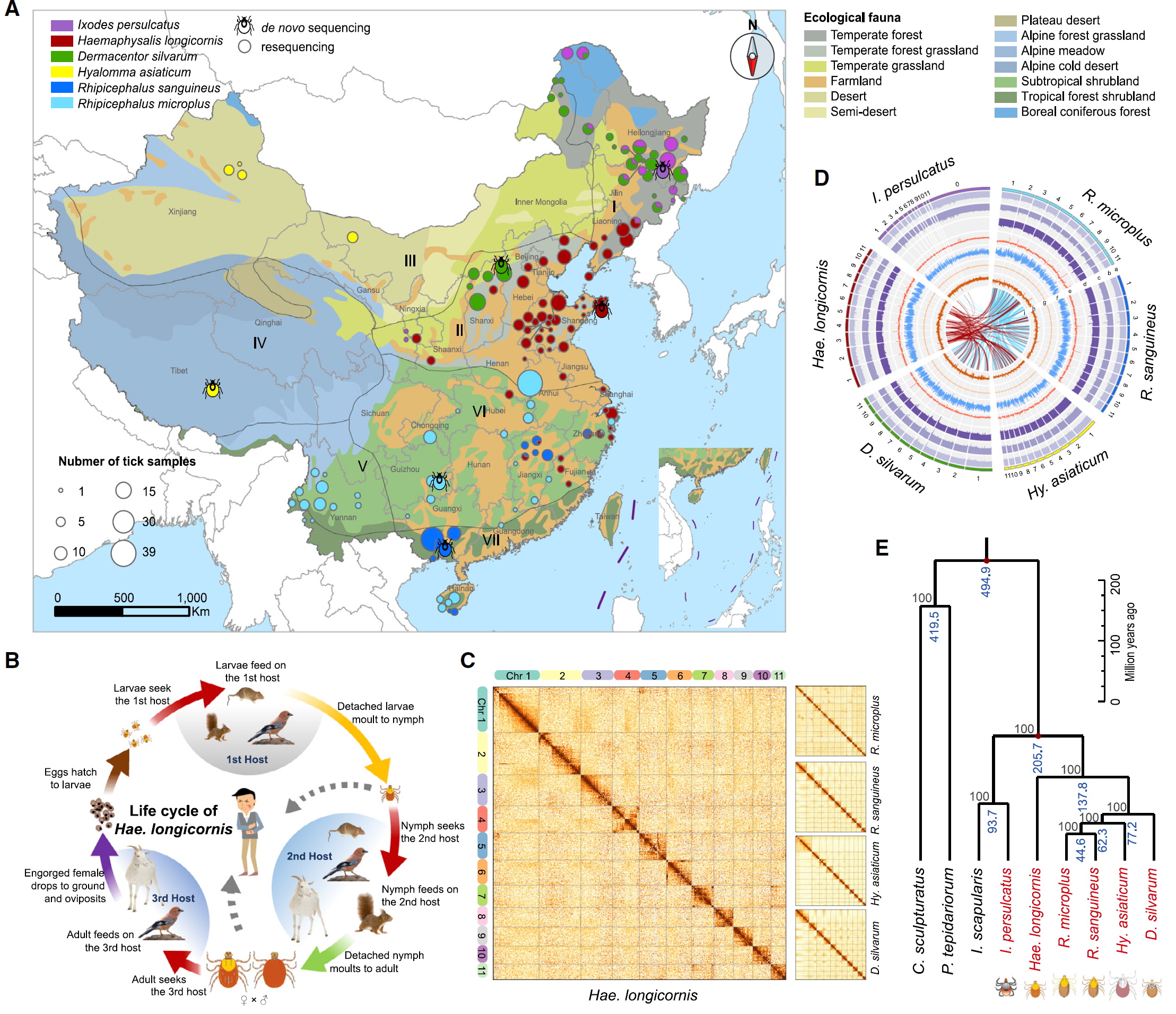 Fig. 2 Genomic Comparison of Six Tick Genomes.png