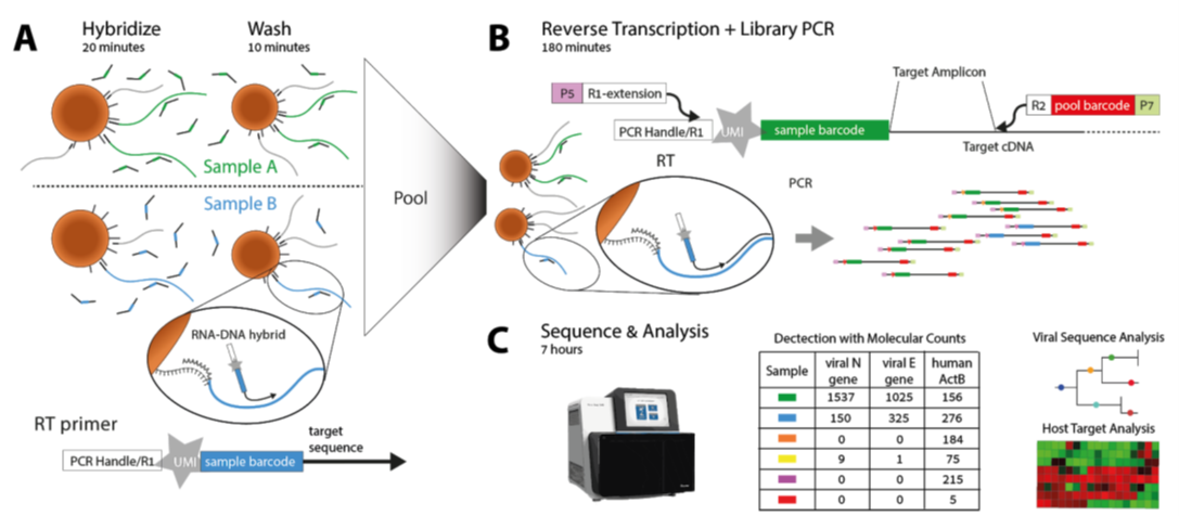 Figure 1 ApharSeq overview.png