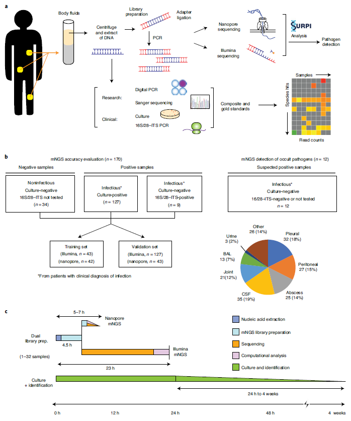 Figure 1 Study workflow and sample distribution.png