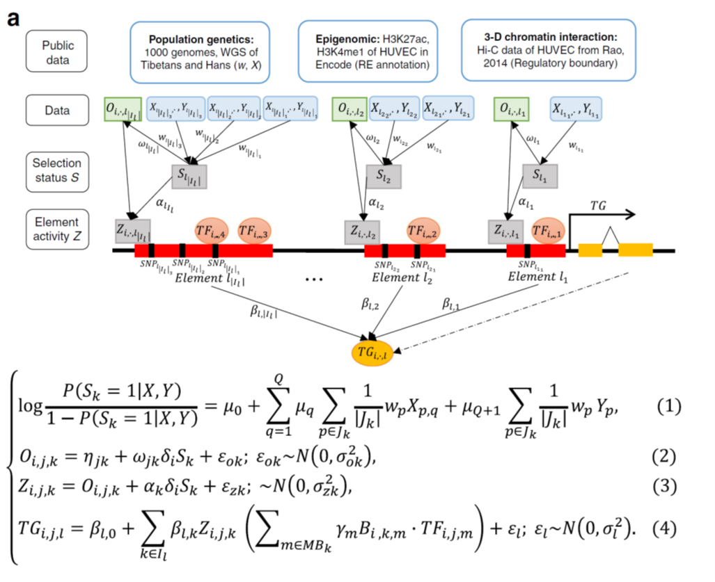 Figure 2  vPECA models.png