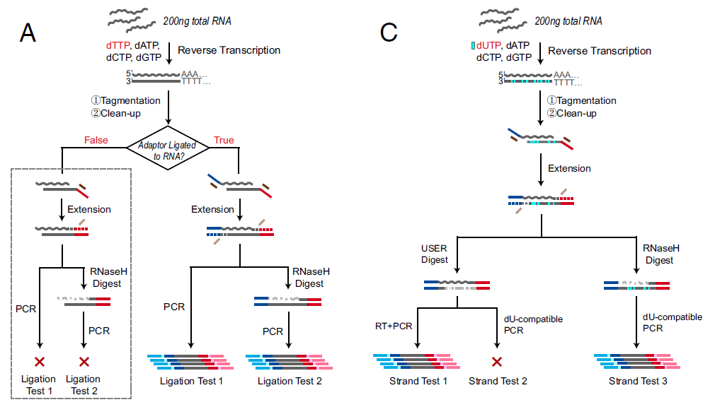 Figure 2 SHERRY Pilot Test (ref.1).png