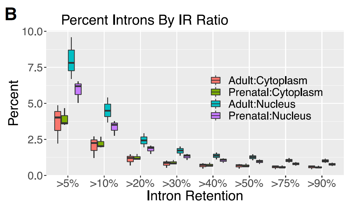 Figure 3 - Intron retention associates with RNA distribution..png