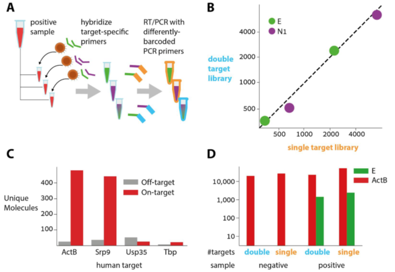 Figure 3 Multi-target ApharSeq libraies.png