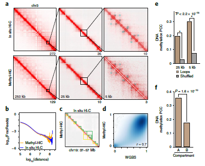 Profiling comparison between Methyl-HiC and Hi-C or WGBS.PNG