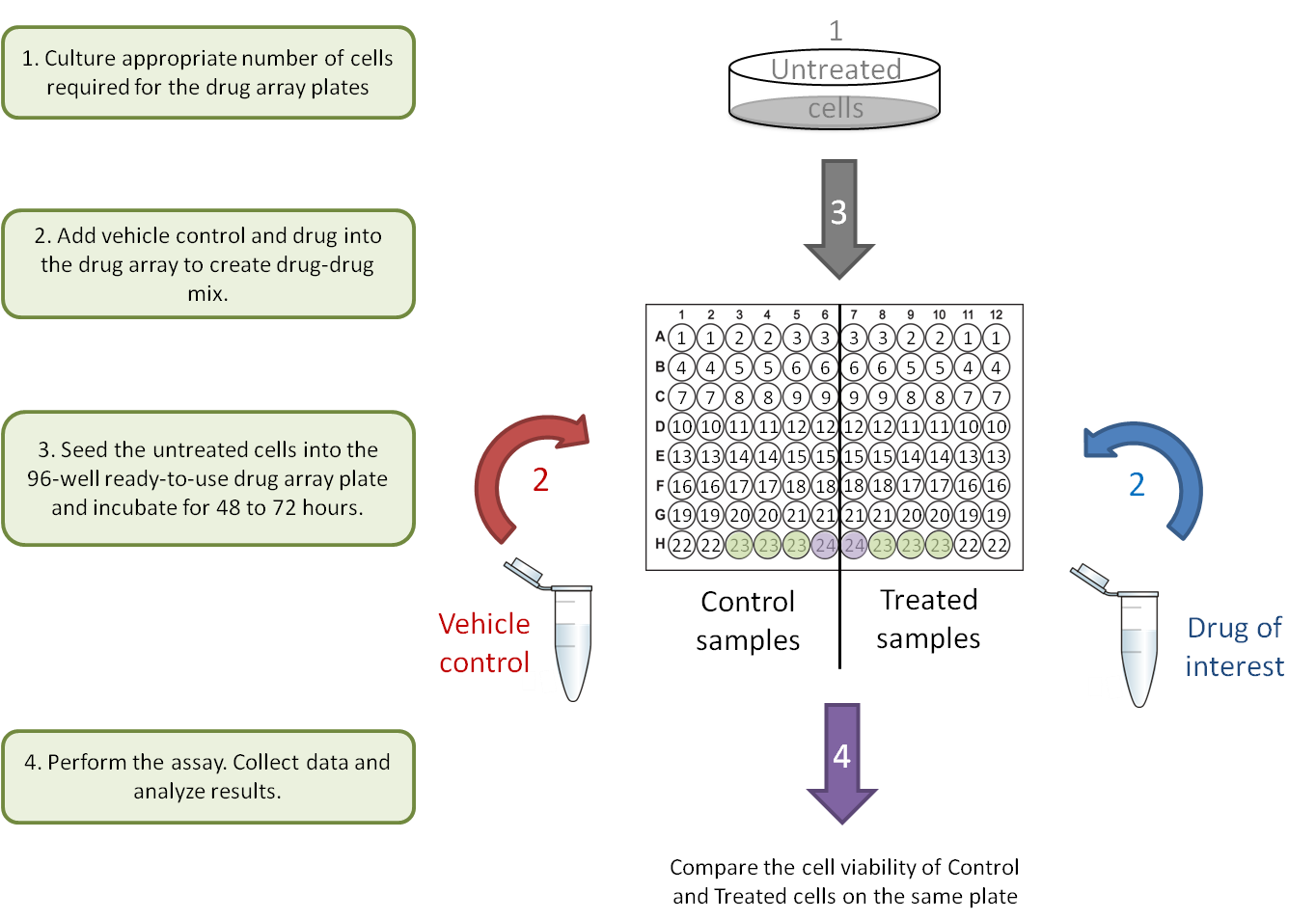 Drug array design 1.png