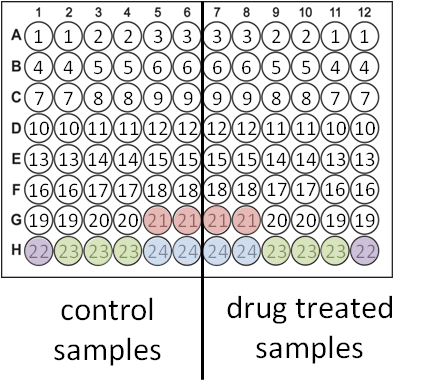 siRNA array design plate image.png