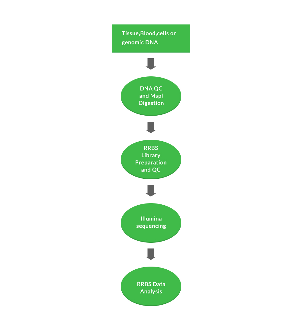 DNA Methylation Sequencing