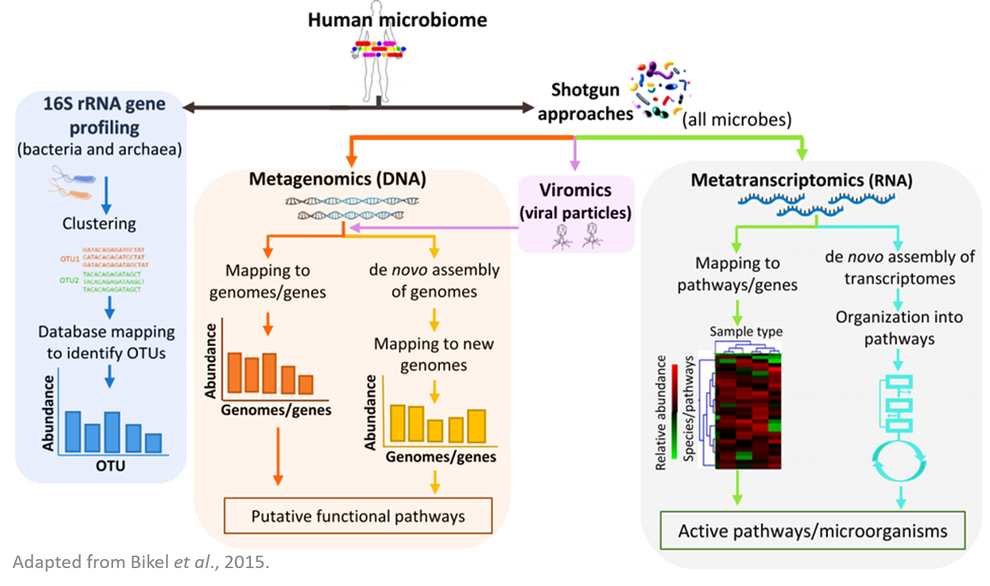 Microbial and Viral genomic sequencing