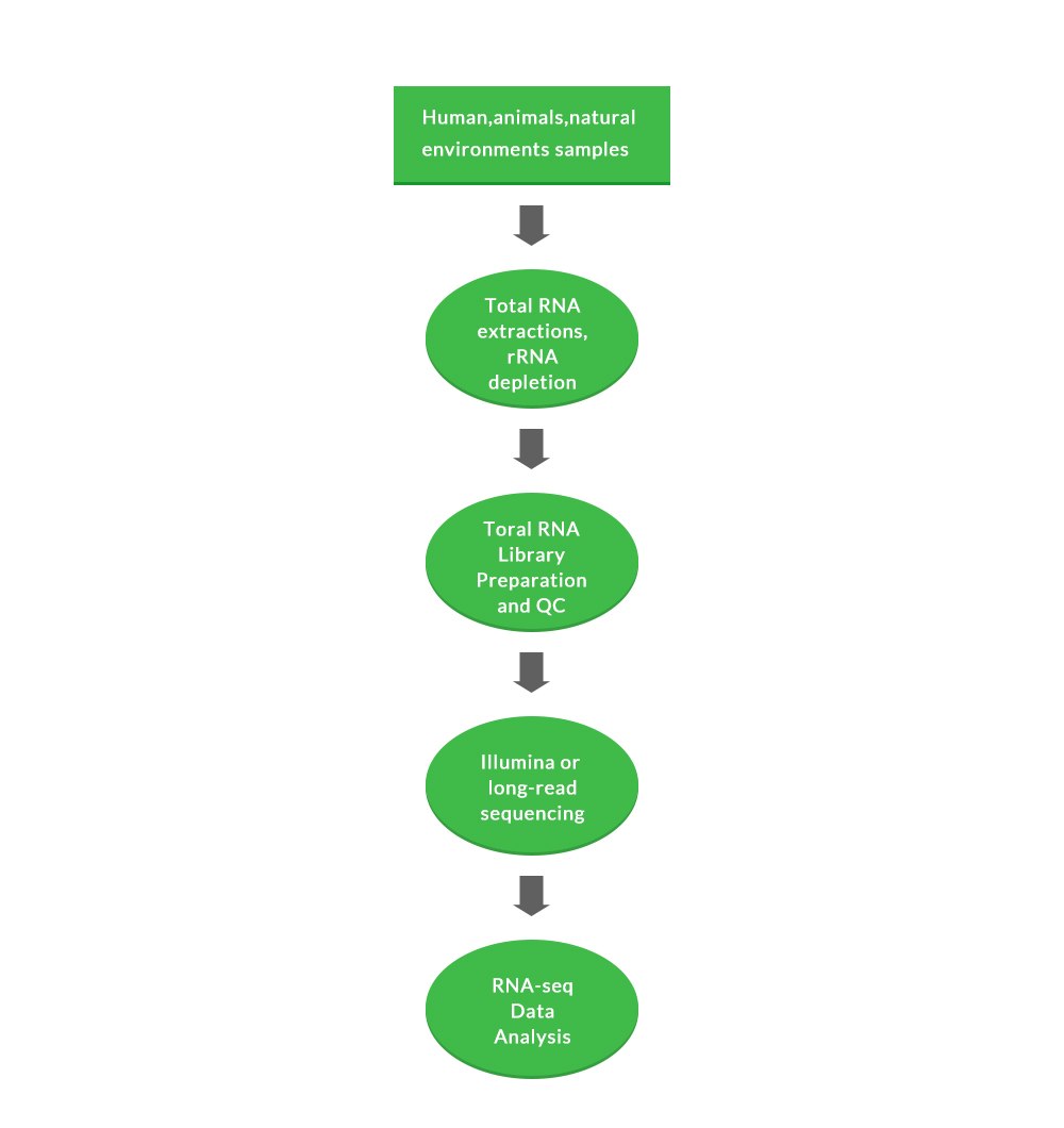 Microbial and Viral genomic sequencing