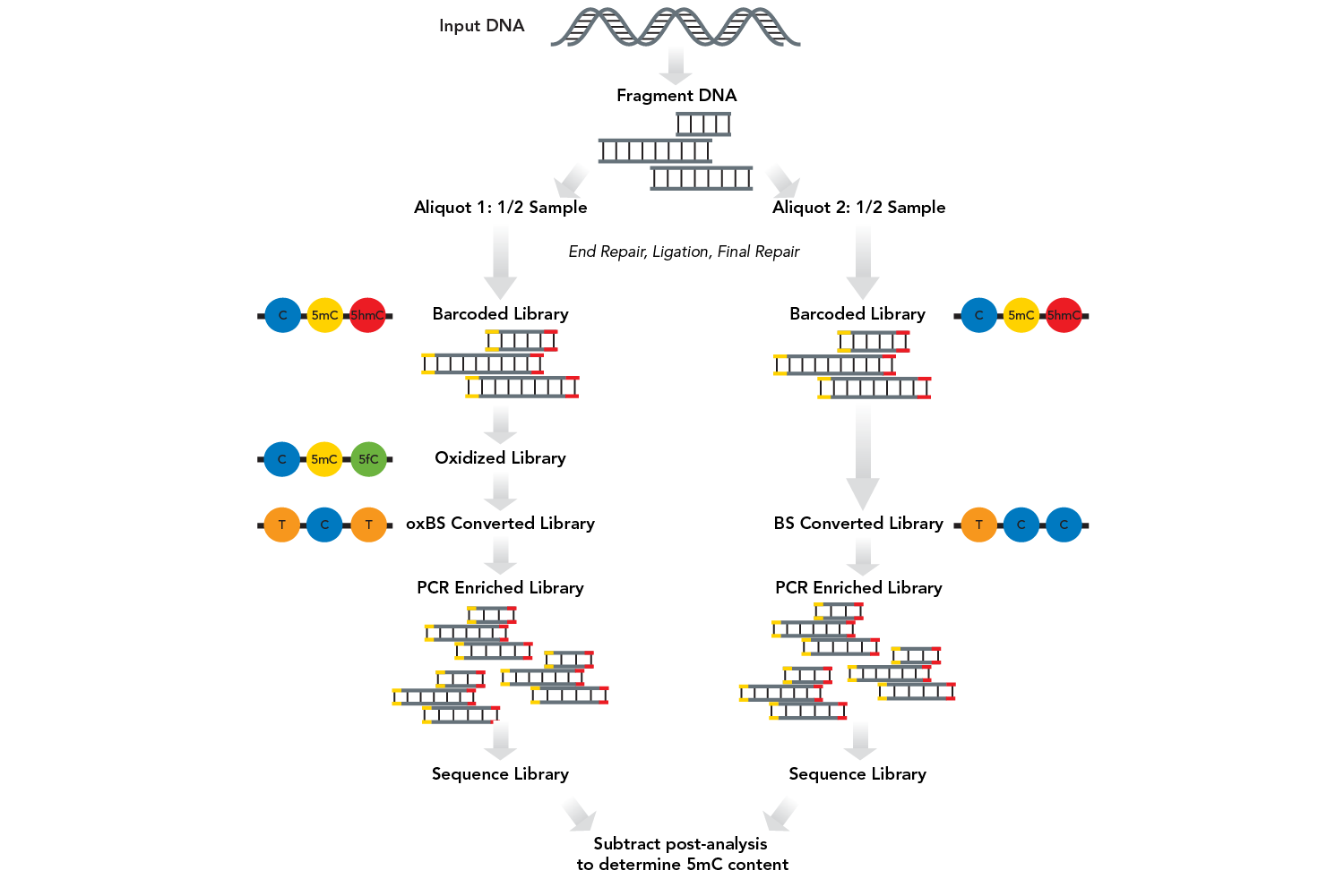 QB OxBS-eq ULMS_TrueMethyl_web-01