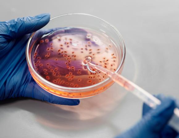 Clinical Applications of Whole Exome Sequencing in Rare Disease Diagnosis
