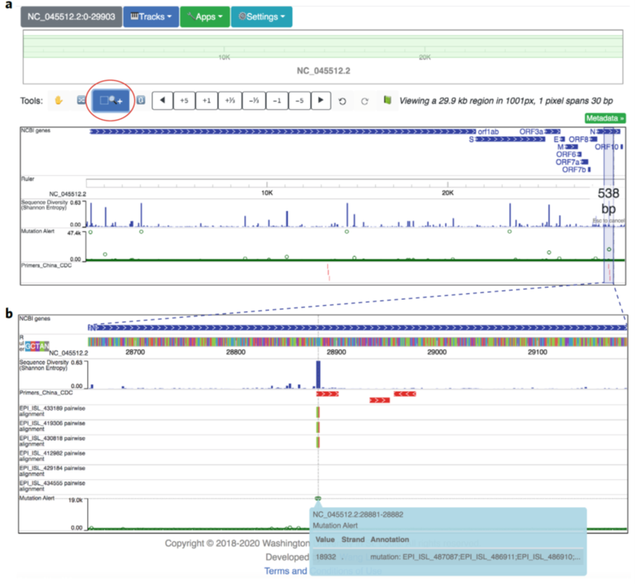 Figure 1 Evaluating PCR primers for accumulating mutations with the WashU Virus Genome Browser.png