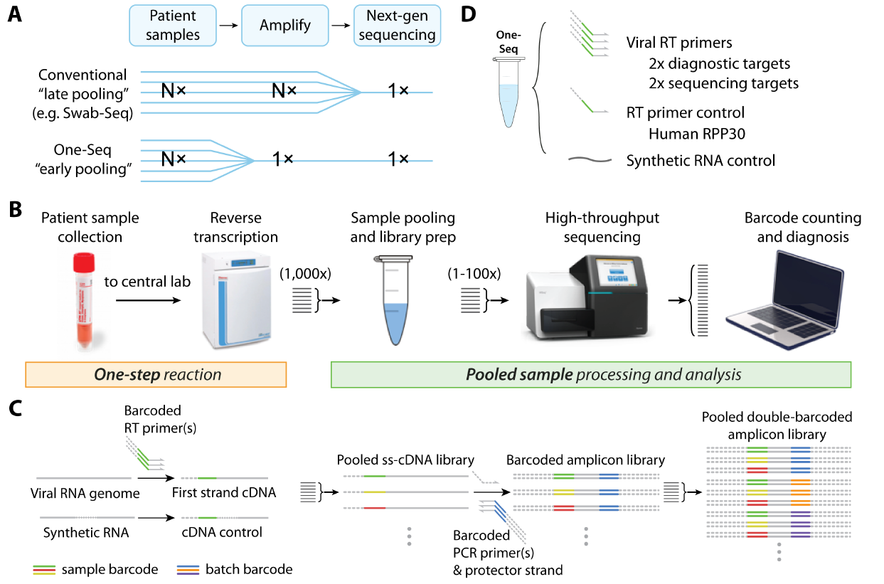 Figure 1 Principle and workflow of One-seq for highly scalable viral detection and variant identification_0.png