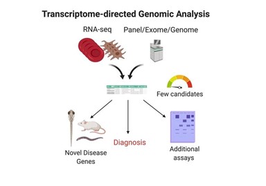 Figure 1 Transcriptome-directed Genomic Analysis.jpg