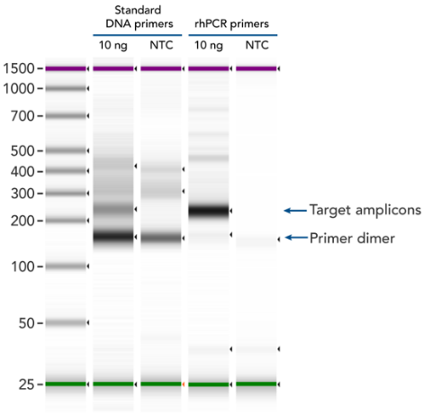 Figure 2 - rhPCR primers virtually eliminate primer-dimers and nonspecific amplification artifacts in multiplex PCR.png
