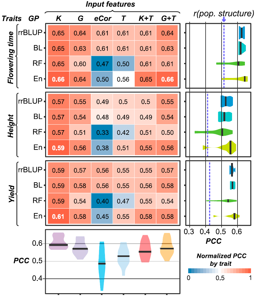Figure 2 Genomic Prediction Model Performance.png