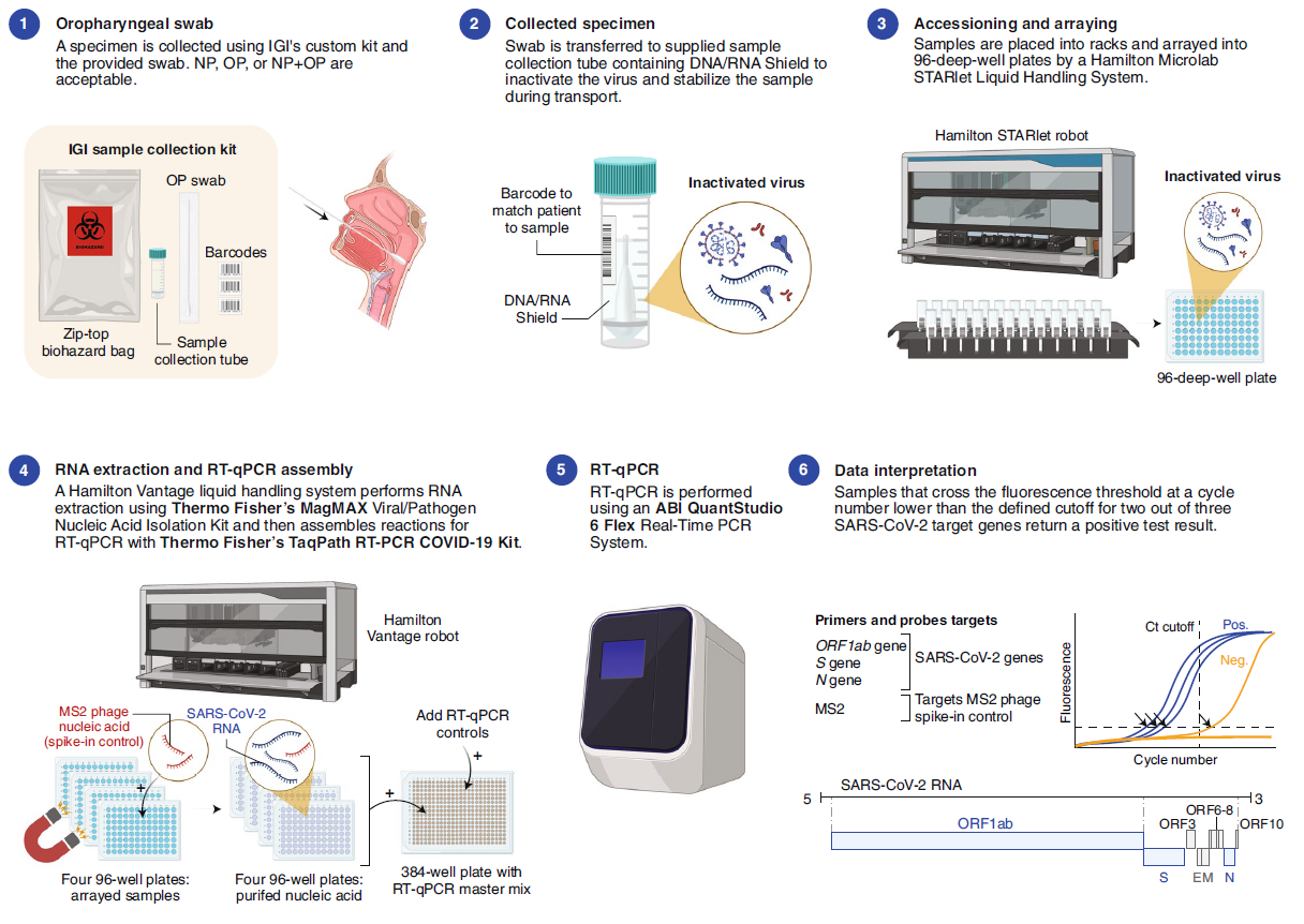 Figure 2 Overview of the IGI SARS-CoV-2 Testing Consortium assay.png