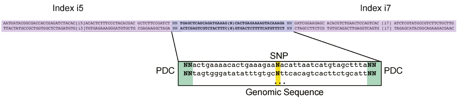 Figure 2 The sequence features of input oligonucleotides.png