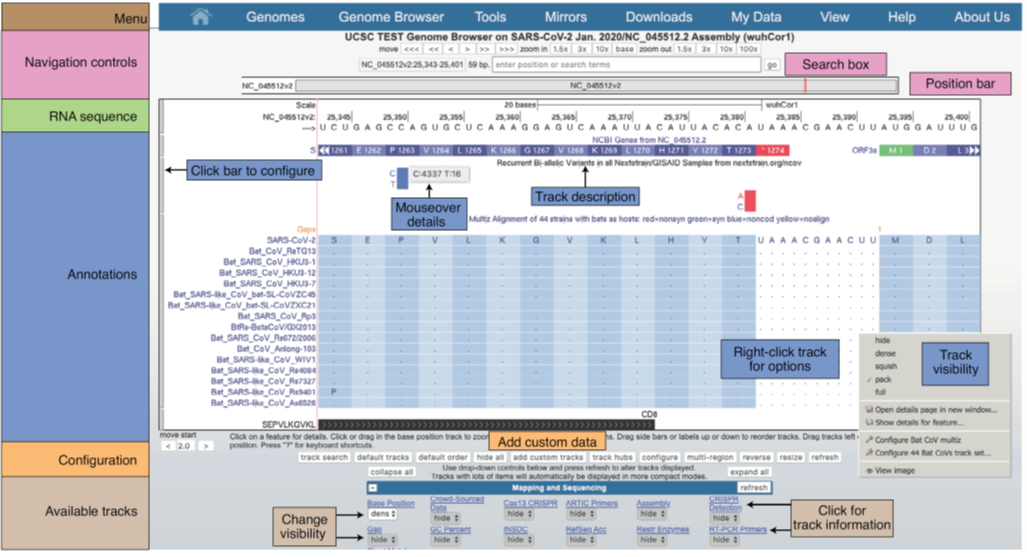 Figure 2 UCSC Genome Browser user-interface structure..png