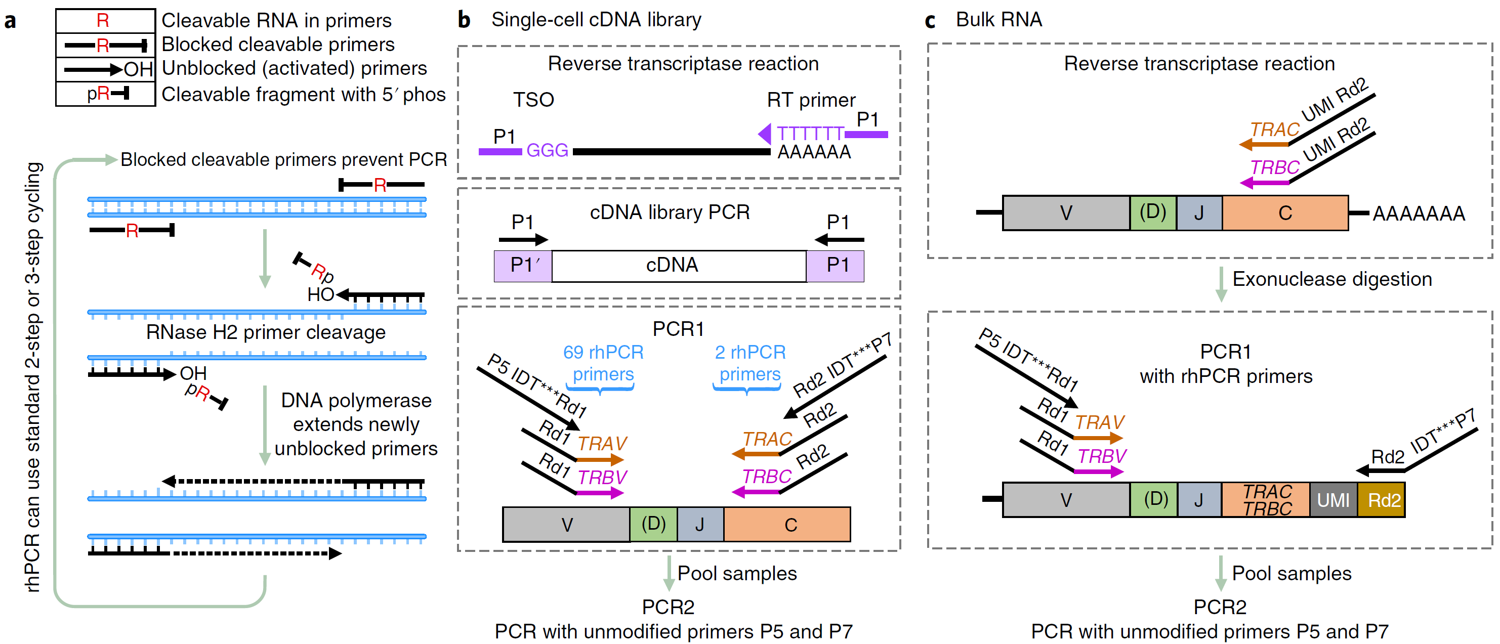 Figure 3 - Features and schemes of rhTCRseq.png