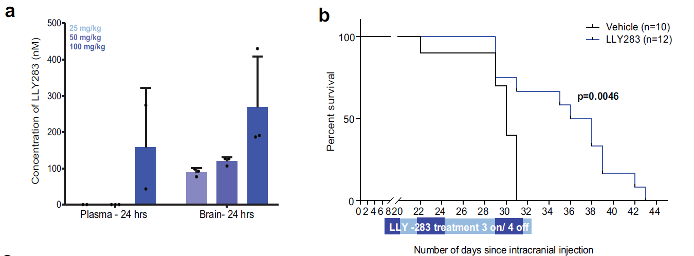 Figure 3 Pharmacological inhibition of PRMT5 significantly extends survival of mice with orthotopic xenografts of GSCs.png