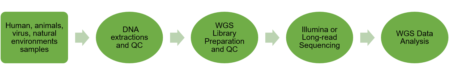 Metagenomic Shotgun Sequencing workflow_0.png
