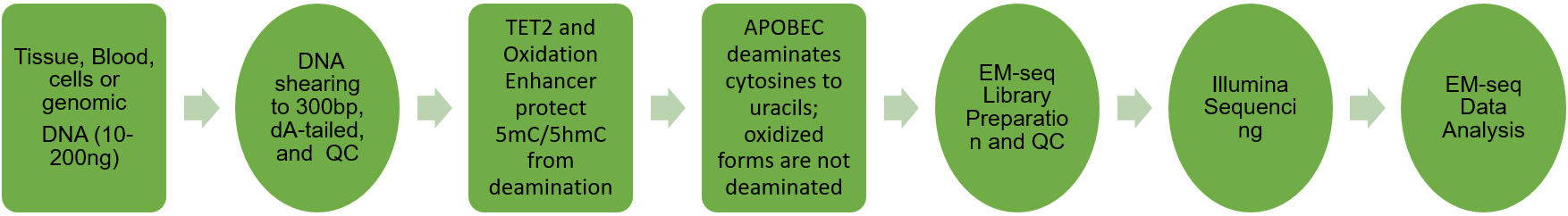 QB EM-seq workflow.png