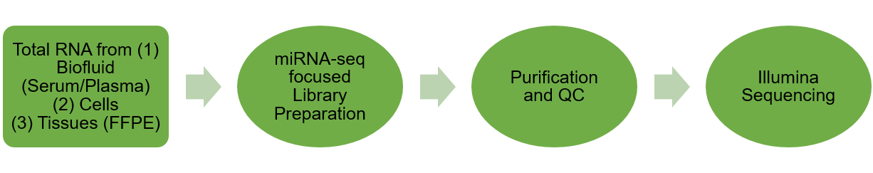 miRNA-seq flowchart.png