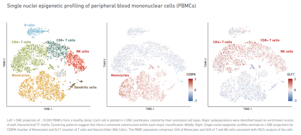 10X Chromium scATAC-seq pic.PNG