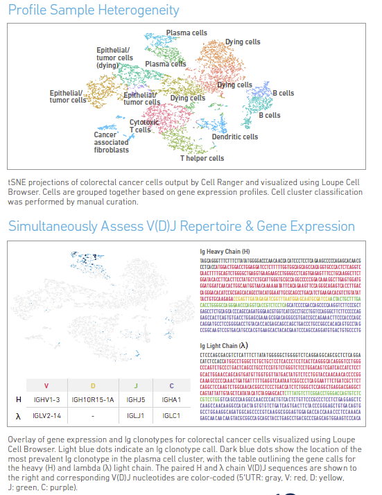 10X Chromium immune profile pic.PNG